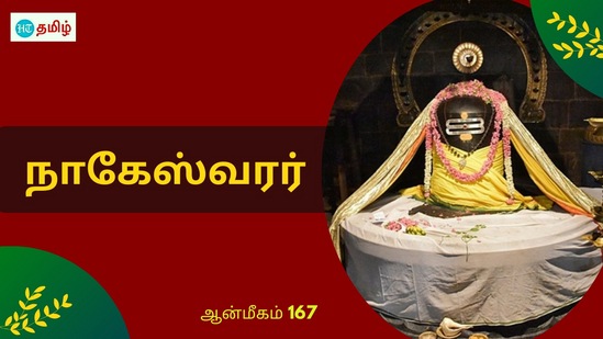 பல்லவ மன்னனுக்கு நாக தோஷம்.. வழிகாட்டிய முனிவர்.. புற்றில் இருந்த சுயம்புலிங்கம் பல்லவ மன்னனுக்கு நாக தோஷம்.. வழிகாட்டிய முனிவர்.. புற்றில் இருந்த சுயம்புலிங்கம்
