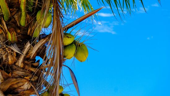 உயர் இரத்த அழுத்தத்தைக் குறைக்க உதவலாம்