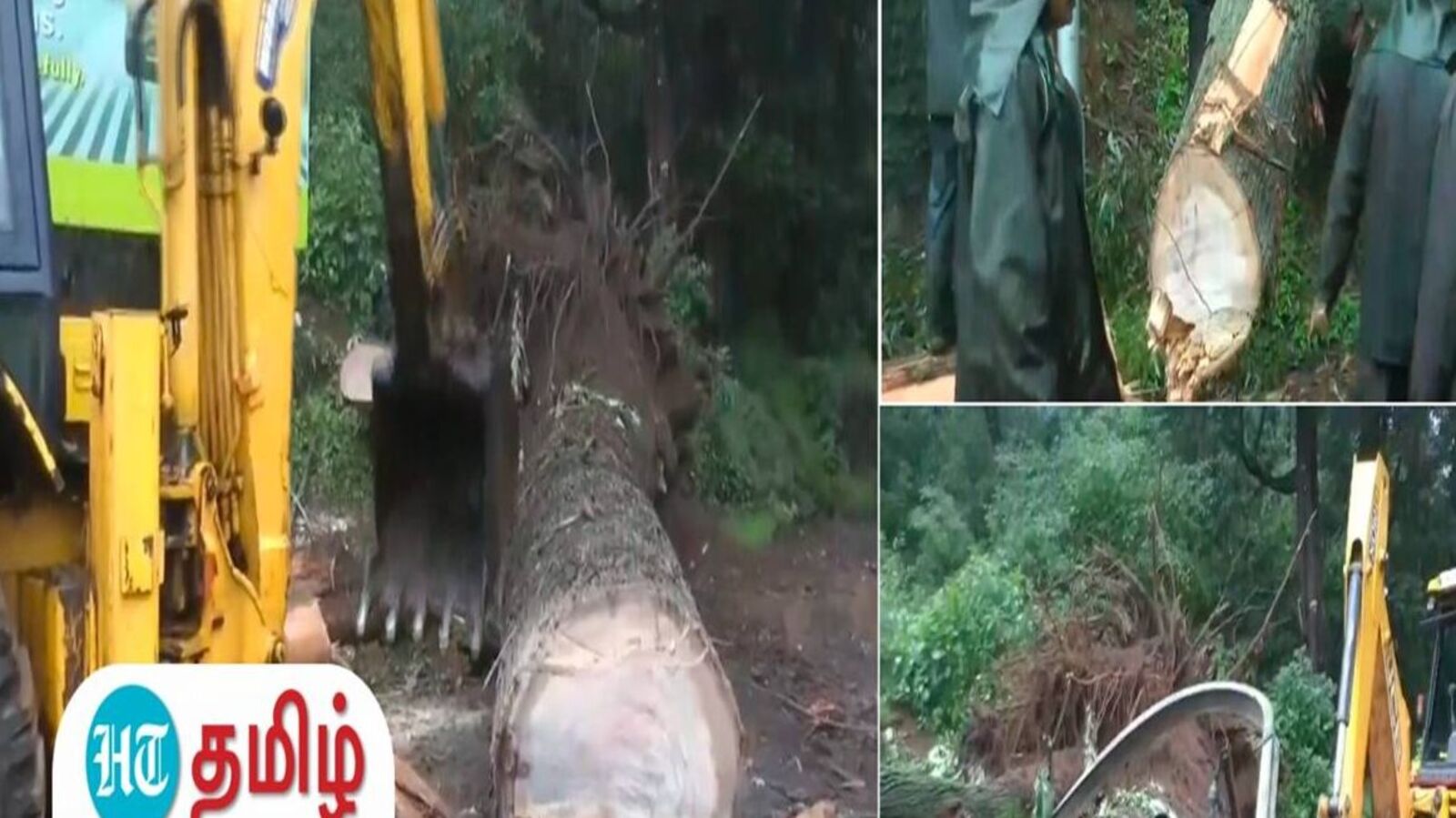 Nilgiris: நீலகிரியில் தொடர் பயங்கர மழை.. அடுத்தடுத்து விழும் ராட்சத மரங்கள், முடங்கும் போக்குவரத்து!