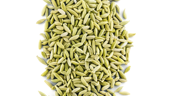 Benefits of Anise : கண் பார்வையை கூராக்கும்! சாப்பிட்டவுடன் சோம்பு மெல்வதால் இத்தனை நன்மைகளா? Benefits of Anise : கண் பார்வையை கூராக்கும்! சாப்பிட்டவுடன் சோம்பு மெல்வதால் இத்தனை நன்மைகளா?