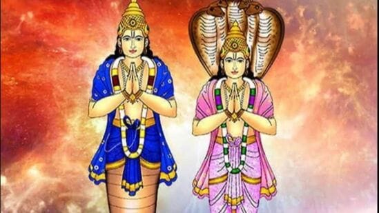 ஜோதிடத்தில், நிழல் கிரகங்களான ராகு மற்றும் கேது சக்திவாய்ந்த கிரகங்களில் ஒன்றாக கருதப்படுகிறது. ராகு-கேதுவின் ராசி மற்றும் விண்மீன் மாற்றங்கள் ஒரு நபரின் வாழ்க்கையில் ஆழமான தாக்கத்தை ஏற்படுத்துகின்றன. கேது முக்தி, ஆன்மீகம் மற்றும் தாந்த்ரீக நடவடிக்கைகளின் காரணியாக கருதப்படுகிறது.