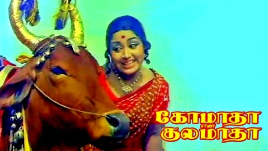 படத்தின் நாயகன் பசு.. வெற்றி கண்ட தேவர்.. வசூலை குவித்த கோமாதா என் குலமாதா படத்தின் நாயகன் பசு.. வெற்றி கண்ட தேவர்.. வசூலை குவித்த கோமாதா என் குலமாதா