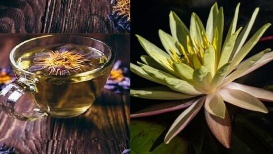 'லோட்டஸ் டீ' குடிப்பதால் கிடைக்கும் பலன்களை பருங்க.. இதய ஆரோக்கியம் முதல் மாதவிடாய் வலி தீர்வு வரை! 'லோட்டஸ் டீ' குடிப்பதால் கிடைக்கும் பலன்களை பருங்க.. இதய ஆரோக்கியம் முதல் மாதவிடாய் வலி தீர்வு வரை!