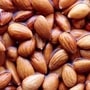 Almonds : இந்தியாவில் ஒருவர் தினமும் எத்தனை ஊற வைத்த பாதாம் சாப்பிட வேண்டும் தெரியுமா.. குழந்தைகளுக்கு எத்தனை தெரியுமா!