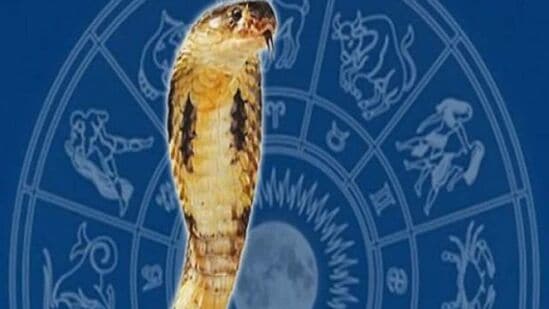 நாக பஞ்சமியில் இருந்து ஜொலிக்க போகும் மூன்று ராசிகள்.. பண ஆதாயம் கிடைக்கும்.. அதிர்ஷ்டம் வைரங்களைப் போல பிரகாசிக்கும்! நாக பஞ்சமியில் இருந்து ஜொலிக்க போகும் மூன்று ராசிகள்.. பண ஆதாயம் கிடைக்கும்.. அதிர்ஷ்டம் வைரங்களைப் போல பிரகாசிக்கும்!