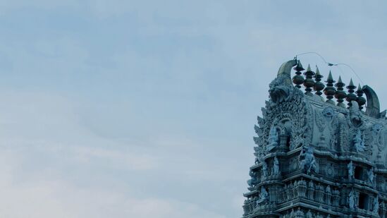 நாக பஞ்சமி திருவிழா சாவான் மாதத்தின் சுக்ல பக்ஷத்தின் ஐந்தாம் நாளில் கொண்டாடப்படுகிறது. இந்த ஆண்டு நாக பஞ்சமி ஆகஸ்ட் 9, 2024 வெள்ளிக்கிழமை. பொதுவாக இந்தப் பண்டிகை ஹரியாலி தீஜ்க்கு இரண்டு நாட்களுக்குப் பிறகு வரும். இத்திருவிழாவில் சிவபெருமான், அன்னை பார்வதி மற்றும் நாக தேவதை வழிபடுகின்றனர். இந்த ஆண்டு நாக பஞ்சமி அன்று சித்த, சத்ய யோகம் உருவாகி வருவதால் இந்நாளின் முக்கியத்துவம் அதிகரித்து வருகிறது. நாக பஞ்சமி நாளில் பூஜை, மங்கள நேரம் மற்றும் யோகாவின் முக்கியத்துவத்தை அறிந்து கொள்ளுங்கள்.
