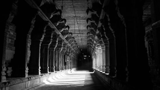 நாக பஞ்சமி பூஜை முஹூர்த்தம்: நாக பஞ்சமி தினத்தில் 02 மணி நேரம் 40 நிமிடங்கள் வழிபடும் முஹூர்த்தம் சிறந்ததாக கருதப்படுகிறது. நாக பஞ்சமி பூஜை சுப நேரம் காலை 05.46 மணி முதல் 08.26 மணி வரை.