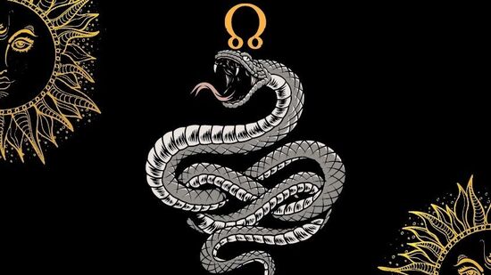 நாக பஞ்சமி திருவிழா ஆகஸ்ட் 9&nbsp;ஆம் தேதி சிராவண மாதத்தின் பிரகாசமான பதினைந்து நாட்களின் ஐந்தாவது நாளாகும். ஜோதிடத்தின் படி, நாக பஞ்சமி ஹஸ்த நட்சத்திரம் மற்றும் சித்த யோகத்தில் படிக்கப்படுகிறது. இந்த நாளில், நாட்டுப்புற பாரம்பரியத்தின்படி, வீட்டின் சுவர்களில் பாம்பு கடவுள் வணங்கப்படுவார்.