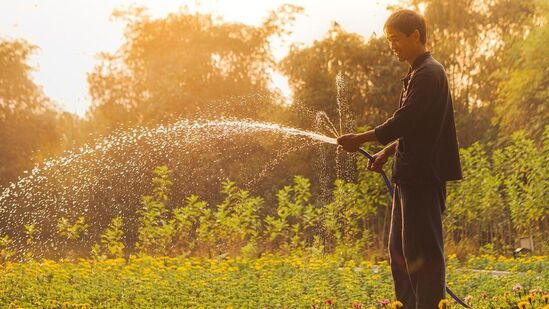 Gardening : சின்ன இடத்தில் கூட சிங்காரமான தோட்டம் அமைக்கலாம். இதோ அதற்கு இந்த யோசனைகள் உங்களுக்கு உதவும். சிறிய தோட்டம் அமைத்து மகிழ குறிப்புகள் இங்கே கொடுக்கப்பட்டுள்ளன.