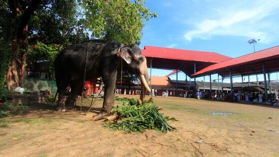 குருவாயூர் ஸ்ரீ கிருஷ்ணர் கோயில், குருவாயூர்&nbsp;