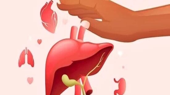 World Organ Donation Day 2024: சிறுநீரகம் அல்லது கல்லீரலின் ஒரு பகுதி போன்ற உயிருடன் இருக்கும் சில உறுப்புகளை மக்கள் தானம் செய்யலாம். பொதுவாக இது ஒரு நபர் இறந்த பிறகு உறுப்பு தானம் செய்யப்படுகிறது.