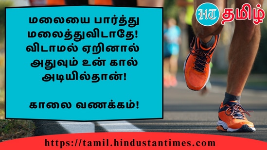 மலையை பார்த்து மலைத்துவிடாதே!விடாமல் ஏறினால்அதுவும் உன் கால் அடியில்தான்!&nbsp;காலை வணக்கம்!