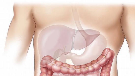 Liver Detox : உறங்கச் செல்லும் முன் இதை ஒரு ஸ்பூன் எடுக்கவேண்டும்! உங்கள் கல்லீரல் புதிதாகி விடும். உடலின் மற்ற பாகங்களிலும் உள்ள கழிவுகளையும் அகற்றிவிடும்.