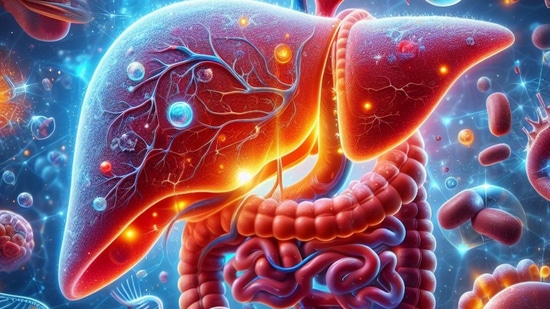 Liver Detox : மூன்றே நாளில் உங்கள் கல்லீரலை சுத்தமாக்கும் ஜூஸ்; காலை, மாலை இருவேளையும் பருக பலன் உறுதி! Liver Detox : மூன்றே நாளில் உங்கள் கல்லீரலை சுத்தமாக்கும் ஜூஸ்; காலை, மாலை இருவேளையும் பருக பலன் உறுதி!