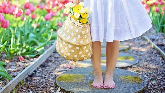 Garden : இந்த பூச்செடிகளை வளருங்கள்; உங்கள் தோட்டமே மணக்கும்; வீட்டில் நந்தவனம் அமைக்க இதோ ஐடியாக்கள்! Garden : இந்த பூச்செடிகளை வளருங்கள்; உங்கள் தோட்டமே மணக்கும்; வீட்டில் நந்தவனம் அமைக்க இதோ ஐடியாக்கள்!