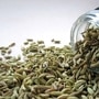 Fennel Seeds Benefits : உங்கள் சருமம் பளபளக்க.. இரத்த அழுத்தத்தைக் கட்டுப்படுத்த தினமும் பெருஞ்சீரகம் சாப்பிடுங்கள்!