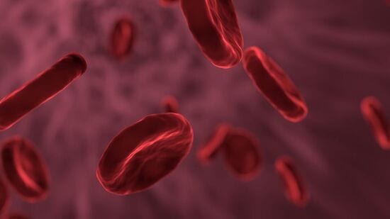 Hemoglobin Level : உங்கள் உடலில் மளமளவென ஹீமோகுளோபின் அளவு அதிகரிக்க வேண்டுமா? இதோ மிளகு லேகியம்!