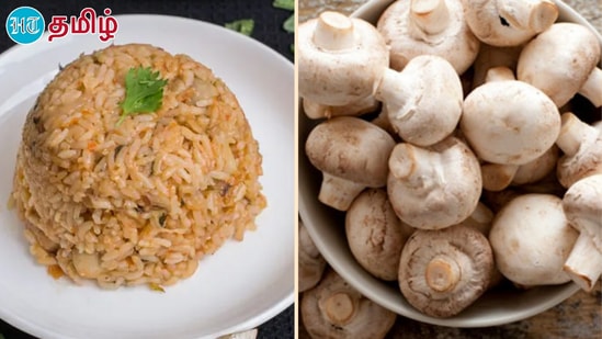 Mushroom Donne Biryani : காளான் தொன்னை பிரியாணி எப்படி செய்வது.. டேஸ்ட் சூப்பரா இருக்கும்.. ட்ரை பண்ணி பாருங்க! Mushroom Donne Biryani : காளான் தொன்னை பிரியாணி எப்படி செய்வது.. டேஸ்ட் சூப்பரா இருக்கும்.. ட்ரை பண்ணி பாருங்க!