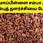 Mappillai Samba Rice Benefits: மாப்பிள்ளை சம்பா அரிசி நரம்புத் தளர்ச்சியை போக்குமா? உண்மை என்ன?