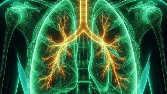 Lung Detox : நுரையீரலை சுத்தம் செய்ய வேண்டுமா? சளி, இருமலை அடித்து விரட்ட இது மட்டும் போதும்! Lung Detox : நுரையீரலை சுத்தம் செய்ய வேண்டுமா? சளி, இருமலை அடித்து விரட்ட இது மட்டும் போதும்!