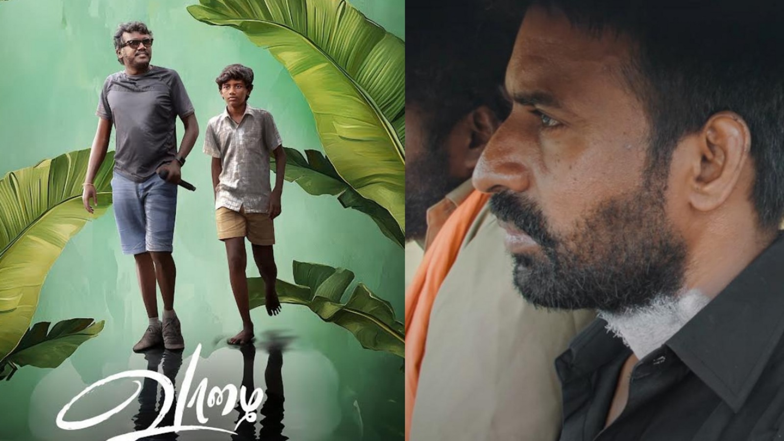 Box office: வாழை கொடுத்த தர்ம அடி.. வசூலில் மண்ணைக் கவ்விய சூரியின் கொட்டுக்காளி - வசூல் நிலவரம் தெரியுமா?