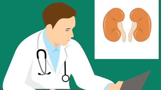 Kidney Stone : சிறுநீர் நுரையாகப் போகிறதா? அச்சச்சோ அதில் உள்ள ஆபத்து என்ன? என்ன செய்யலாம் பாருங்க!