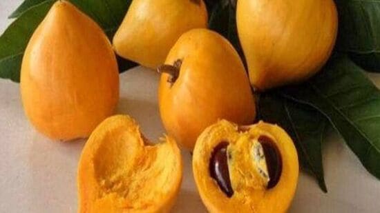 Lucuma Fruit: கண்ணை கவரும் இந்த பழத்தை பற்றி தெரியுமா?..சர்க்கரை நோயாளிகள் கண்டிப்பாக சாப்பிட வேண்டிய பழமாம்!