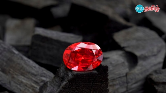 Ruby Gem: மாணிக்கம் அணிவதற்கான விதிகள் என்ன, எப்போது அணியலாம், எப்படி அணியவேண்டும்? யாரெல்லாம் அணியலாம்?