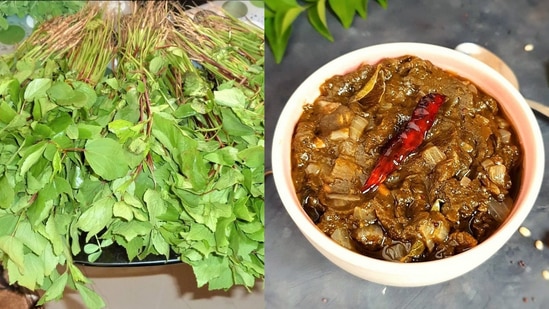 Gongura : கோங்குரா இரத்தத்தை சுத்திகரிக்க உதவுகிறது. இதனால் கல்லீரல் பாதிப்புகளை தடுக்க உதவும். இதனால் அதன் கோங்குராவில் நோய் எதிர்ப்பு சக்தியை அதிகரிக்கும் பல சத்துக்களும் உள்ளன. எனவே இந்த கோங்குரா எள் பச்சடி ஆரோக்கியத்திற்கு முற்றிலும் நன்மை பயக்கும்.