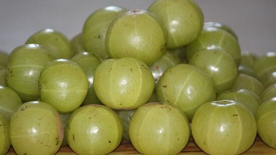 Amla : முடி வளர்ச்சி முதல் தோல் பராமரிப்பு வரை தினமும் நெல்லிக்காய் சாப்பிடுவதால் கிடைக்கும் பலன்கள் இதோ!