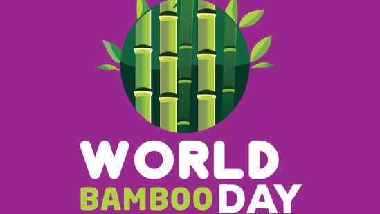 World Bamboo Day: உலக மூங்கில் தினம்: அறிந்ததும் அறியாததுமான தகவல்கள்!