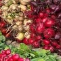 Root_vegetables_1