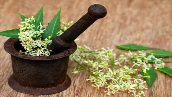 Neem Flower: வேப்பம் மரத்தின் இலை முதல் காய் வரை அனைத்துமே பல மருத்துவ குணங்களை கொண்டுள்ளது. இது தமிழர்கள் மருத்துவத்திலும் குறிப்பிடப்பட்ட ஒரு முக்கிய மருந்தாகும். இத்தகைய வேப்பம் மரத்தில் இருந்து வரும் வேப்பம்பூவில் பல நல்ல பண்புகள் உள்ளன.