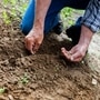  Gardening Tips: என் வீட்டுத்தோட்டத்தில்! வீட்டில் தோட்டம் அமைக்கும் முன் தெரிந்துக் கொள்ள வேண்டியவை!