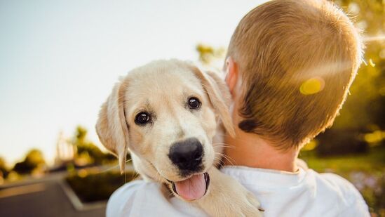 Grow With Dogs: டொராண்டோ பல்கலைக்கழகத்தின் ஆராய்ச்சியின்படி நாய்களுடன் வளர்வது சிறந்த குடல் ஆரோக்கியத்தை மேம்படுத்தவும் மற்றும் சில நோய்களின் அபாயத்தைக் குறைக்கவும் உதவுவதாக கண்டறியப்பட்டுள்ளது.