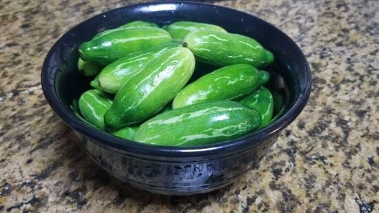 Top 7 Benefits of Ivy Gourd : எக்கச்சக்க நன்மைகளை அள்ளி வழங்கும் கோவக்காய், உடல் பருமன் முதல் புற்றுநோய் வரை அடித்து துரத்தும் மாயம் செய்யும்.