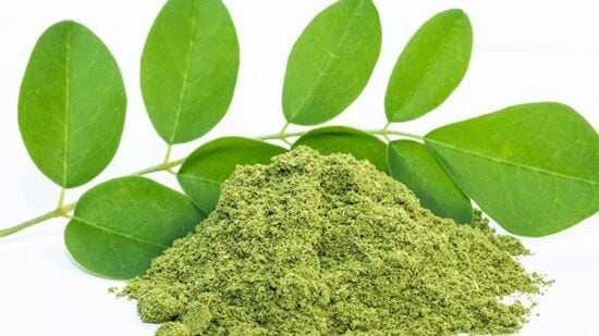 Moringa Leaves Powder : அனீமியாவை அடித்து விரட்டி, ஹீமோகுளேபினை அதிகரிக்க இந்த ஒரு பொடி மட்டும் போதும். முருங்கைக்கீரைப் பொடி செய்வது எப்படி என்று தெரிந்துகொள்ளுங்கள்.