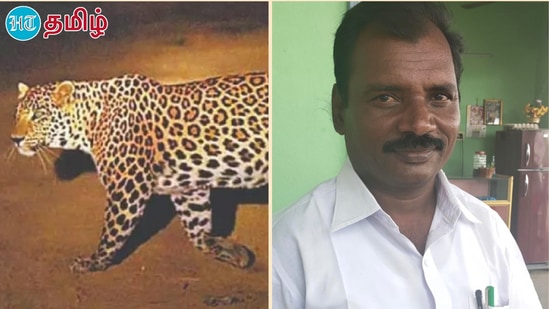 Salem Leopard Death : சேலத்தில் சிறுத்தை உயிரிழந்த விவகாரத்தில் முன்னாள் பாமக ஊராட்சி மன்ற தலைவர் உட்பட 3 பேரை வனத்துறையினர் கைது செய்துள்ளனர்.