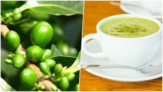 Green Coffee Benefits: உடல் எடை நிர்வகிப்பது முதல் இதய ஆரோக்கியம் வரை..வீட்டிலேயே க்ரீன் காபி தயார் செய்வது எப்படி?