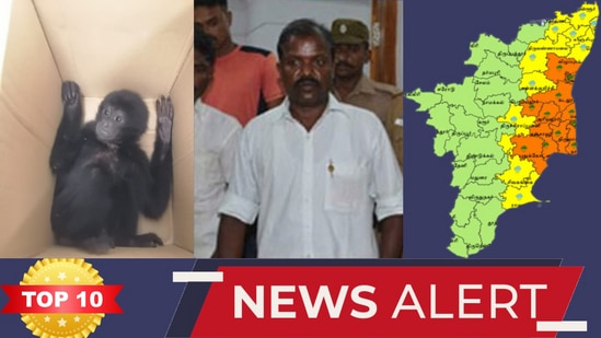 TOP 10 NEWS: சென்னையில் பிடிப்பட்ட கருங்குரங்குகள் முதல் நெல்லையில் பிடிபட்ட  ஆயுதங்கள் வரை! இன்றைய டாப் 10 நியூஸ் 