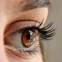 eye-eyelashes-face-woman-63320