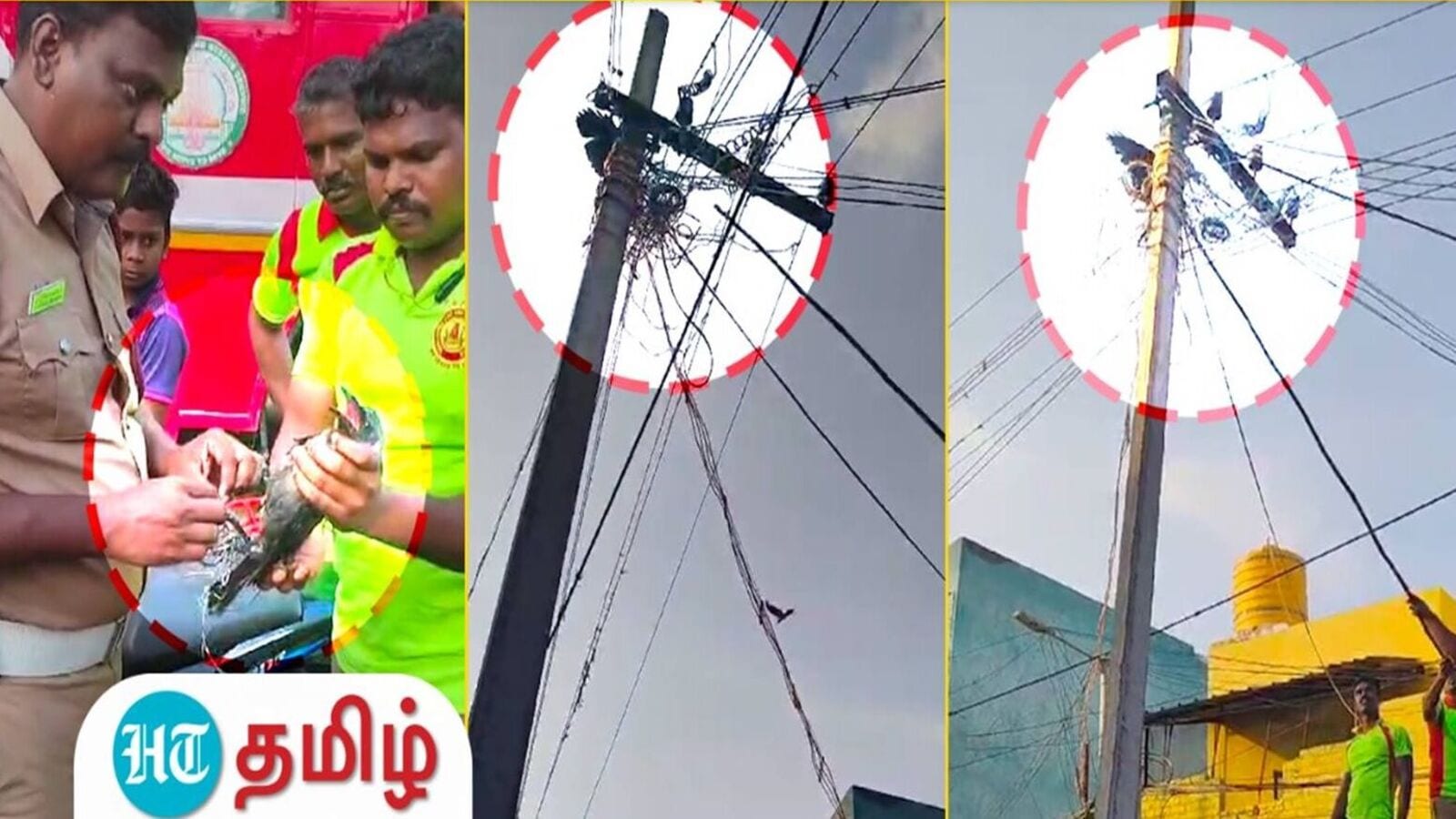 மின்கம்பத்தில் சிக்கி உயிருக்கு போராடிய காகம்..பத்திரமாக மீட்ட தீயணைப்புத்துறையினர்..!