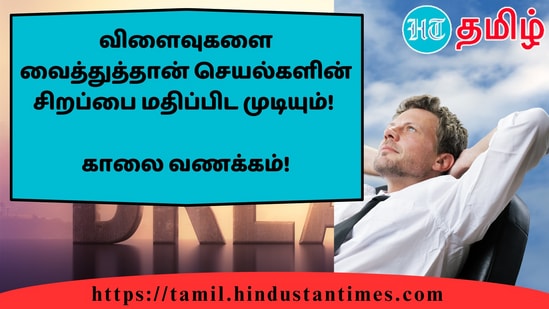 விளைவுகளை வைத்துத்தான் செயல்களின் சிறப்பை மதிப்பிட முடியும்!&nbsp;காலை வணக்கம்!