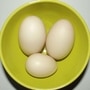 Duck_Egg_Benefits