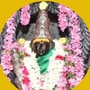 சுகப்பிரசவம் தரும் பெரியநாயகி.. தோஷம் போக்கிய சசிவர்ணேஸ்வரர்.. அமர்ந்த கோலத்தில் துர்க்கை அம்மன்