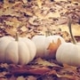 White_Pumpkin