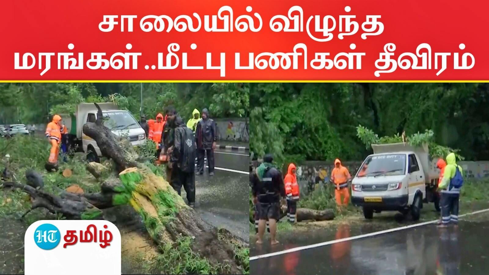ஃபெங்கல் புயலால் பலமாக வீசிய காற்று..முறிந்து விழுந்த மரங்கள்! ஜேசிபி மூலம் மீட்பு பணிகள் தீவிரம்