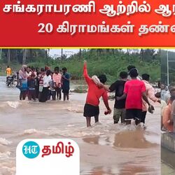 சங்கராபரணி ஆற்றில் ஆர்ப்பரிக்கும் வெள்ளம்.. 20 கிராமங்கள் தண்ணீரில் தத்தளிப்பு!
