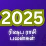 ரிஷப ராசி 2025 புத்தாண்டு பலன்கள்: வாழ்க்கை மாறப் போகுது.. குரு கொட்டப் போகின்றார்.. 2025 எப்படி இருக்கும் பாக்கலாமா?