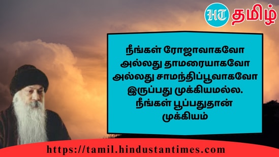 நீங்கள் ரோஜாவாகவோ அல்லது தாமரையாகவோ அல்லது சாமந்திப்பூவாகவோ இருப்பது முக்கியமல்ல. நீங்கள் பூப்பதுதான்முக்கியம்